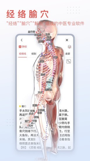 3Dbody艺用完整版