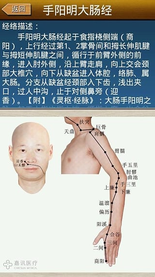 经络穴位图解官方版