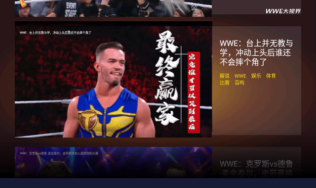 wwe大视界在线版