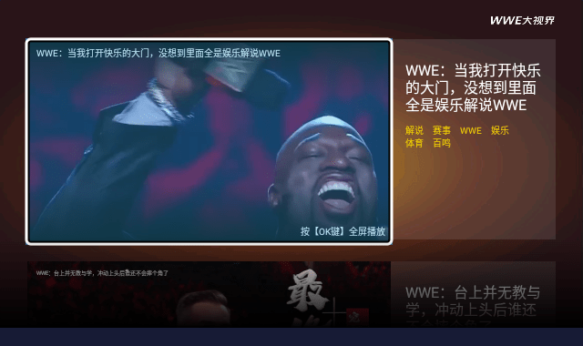 wwe大视界在线版