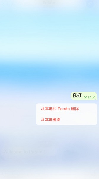 potatochat官方版