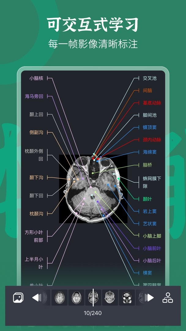 万康人体解剖官方版