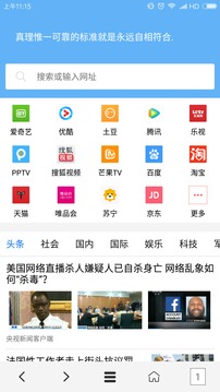 vip浏览器安卓去广告版截图3