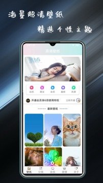 壁纸主题大全网页版截图4