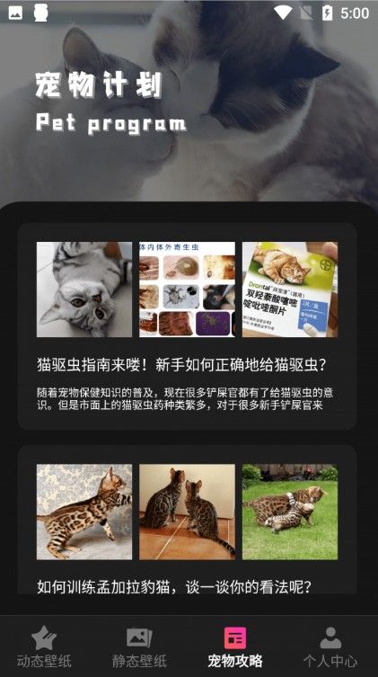 猫咪切换壁纸免费版截图2