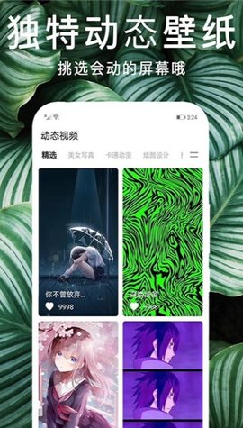 灵猫桌面壁纸最新版截图2