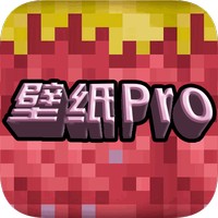 壁纸pro无限制版