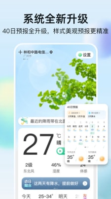 竹雨天气官方正版截图3