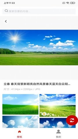 白鸽壁纸app2023版本截图2