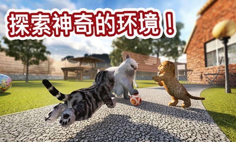 迷你小猫城市生存百度版截图2