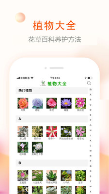 花草君无限制版截图3